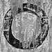 Lowercase Letter O on Peeling Plywood (Takoma Park, MD)