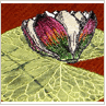Projects with Patch-type Designs
