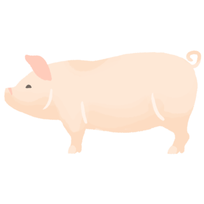 ブタの無料素材 イラスト沖縄 おきなわ