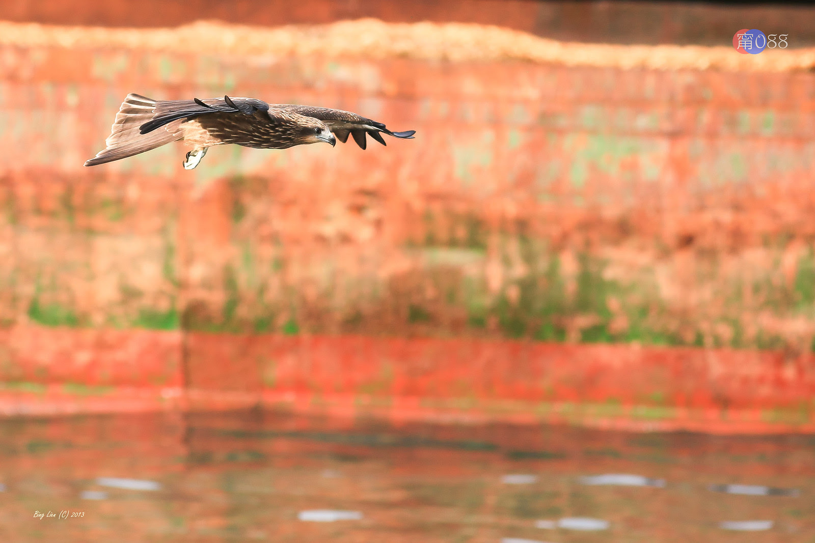 WATER_BING6849_LR