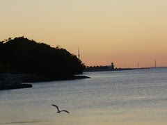 morning walk 021