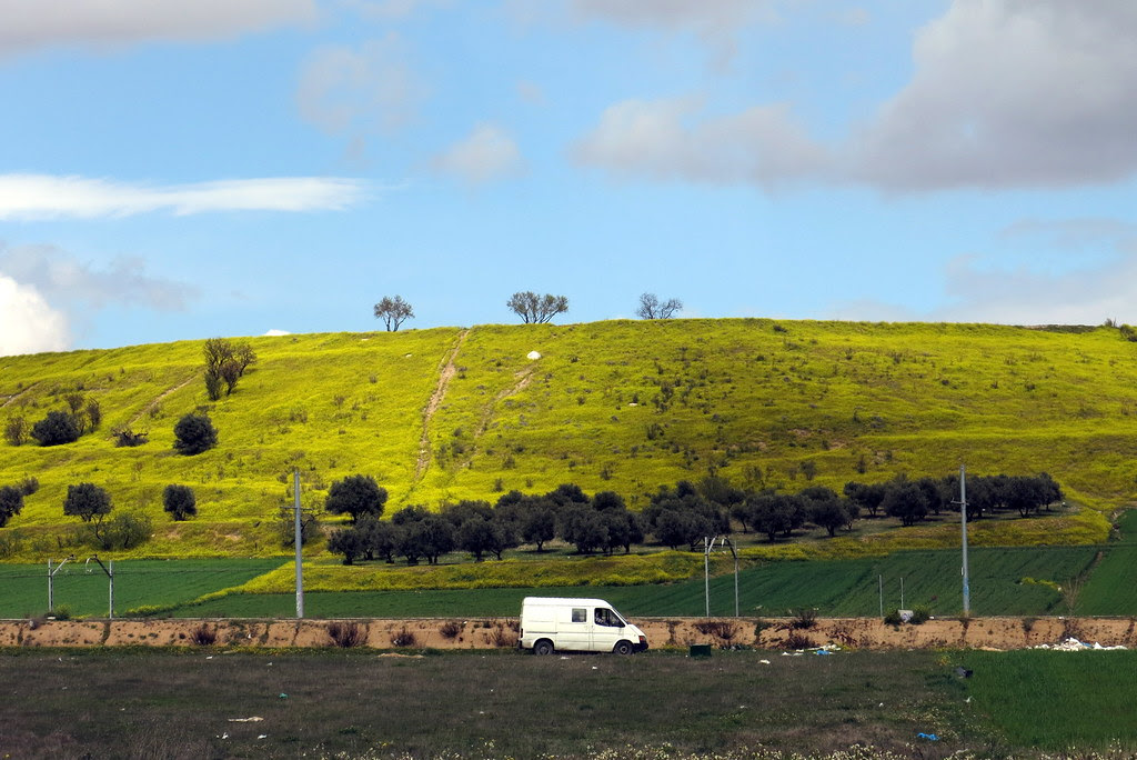 campos de Parla en primavera