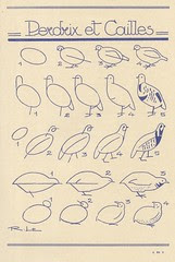les animaux 41