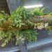 two-headed dragon, plant designer, plant design, alexis tricoire, blog esprit design, french art, france art, city of fashion and design, paris art, living art, plants as art, vegetal atmosphere, vegetal art, vegetation art, art installations