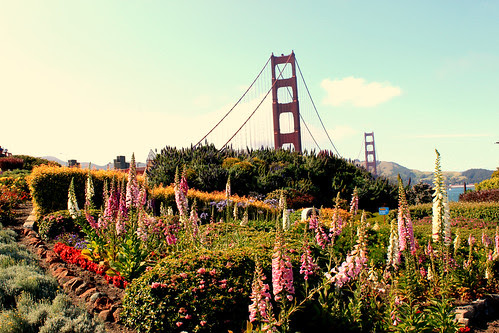 Golden Gate Garden