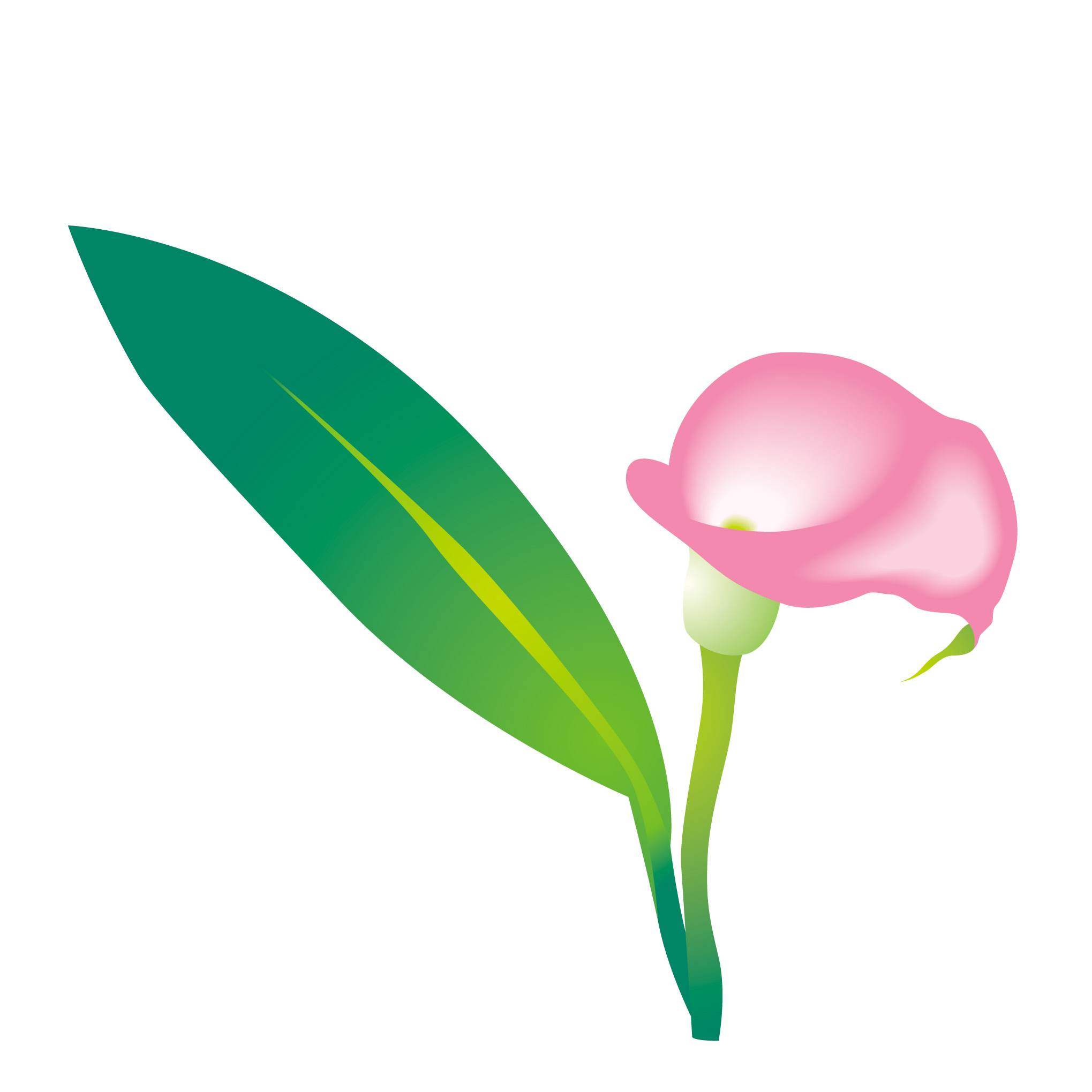 花のイラスト 無料 5月