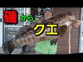 魚 モロコ クエ 237992-魚 モロコ クエ
