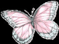00e25pp8