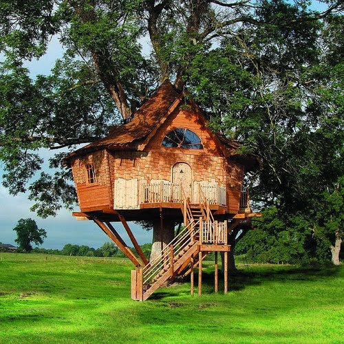 Treehouse, Scotland
