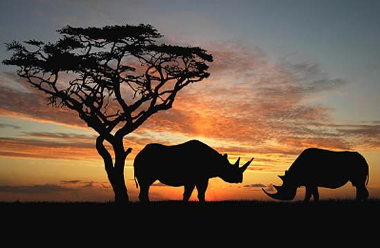 Top 5 Ecotourism Destinations  Five day Rental