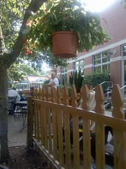 Westover Beer Garden (02)