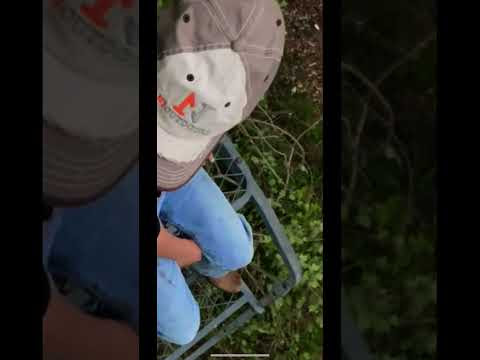 Think he’s ready to hunt? [LET’S GO!] | N1 Outdoors