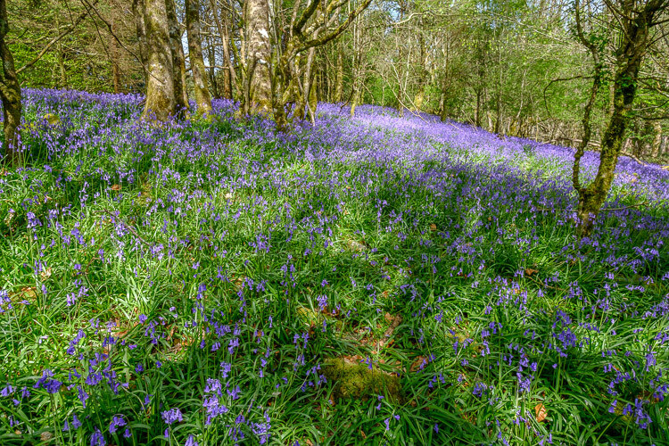 My 5 Favorite Lightroom Sliders