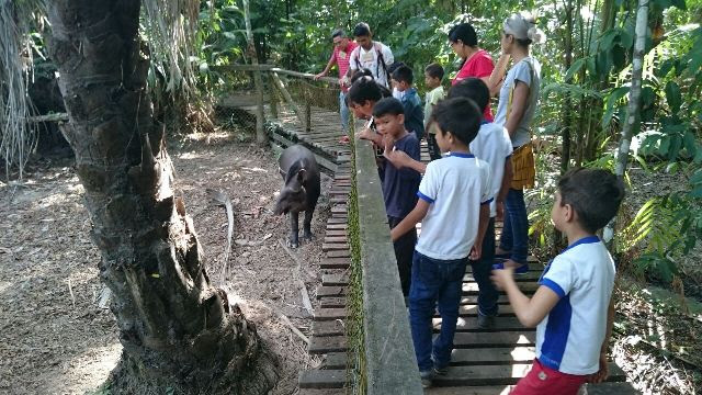 Estudantes já começaram a fazer visitações ao local. Fotos: Valdeí Baleiro