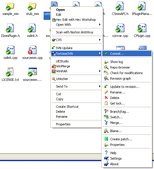 reading the SVN repository
