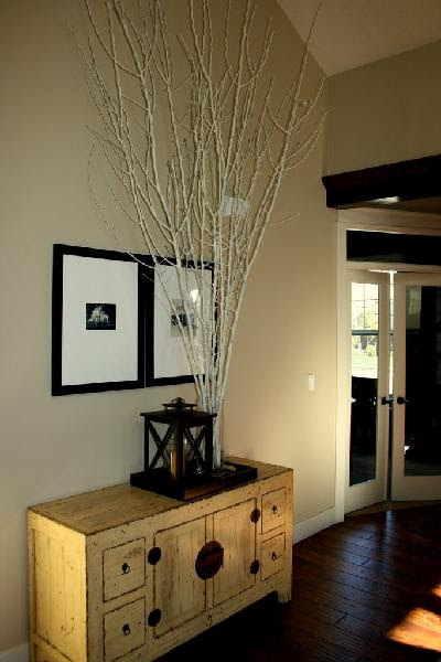 Asian Cabinet - Transitional - entrance/