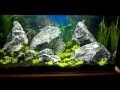 Nano Aquarium Aquascape Ideas