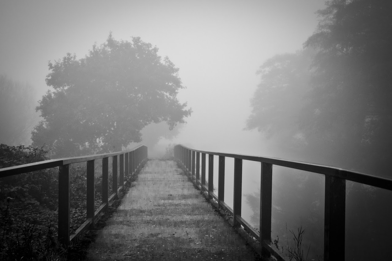 http://25.media.tumblr.com/tumblr_mc9mrs8Gx61rh5pt2o1_1280.jpg
