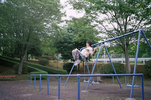 73560031