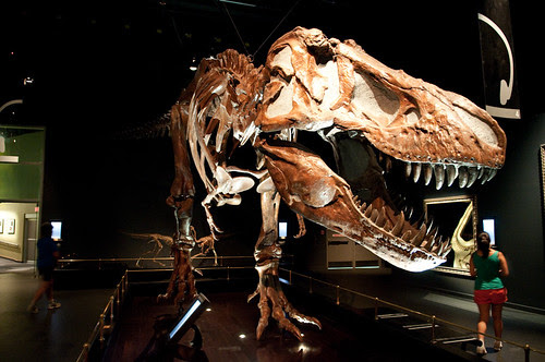 Drumheller Roadtrip-4