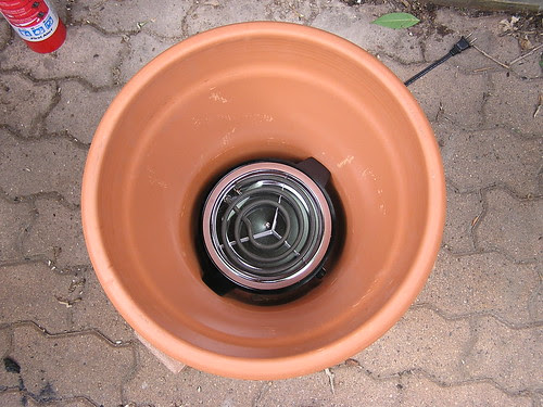 P1010313