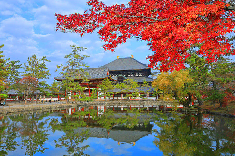 東大寺 鏡池