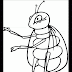 free printable bug coloring pages for kids - animal jr bug coloring page