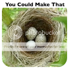 Your Blog Title Here