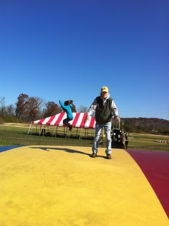Corn Maze in Ellijay