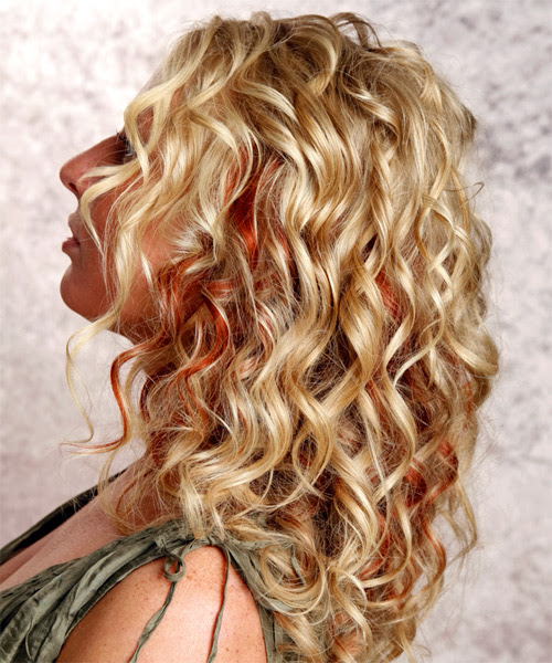 Curly Long Hair, Long Hairstyle 2011, Hairstyle 2011, New Long Hairstyle 2011, Celebrity Long Hairstyles 2173