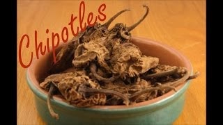 Chipotle Adobo Recipe