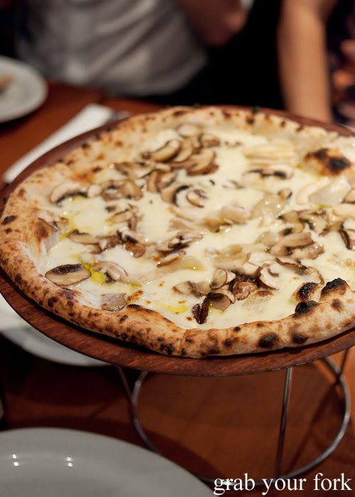 Three mushrooms and stracchino cheese pizza at Gigi Pizzeria, Newtown