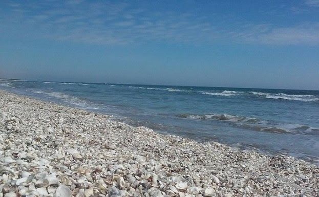 Cele Mai Linistite Plaje De Pe Litoralul Romanesc Epoch Times
