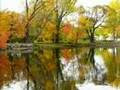 Kahlil Gibran Quotes Peace