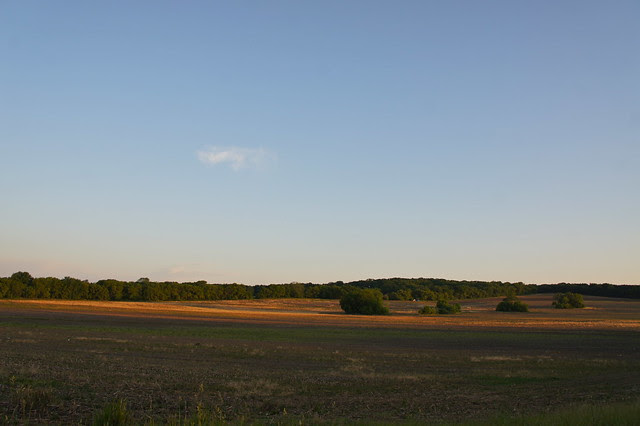 DSC07209