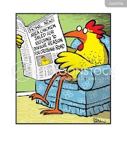 Concept Funny Chicken Cartoons Jokes, Most Searching!