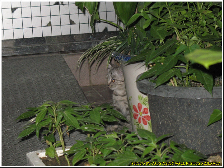 20060928_014