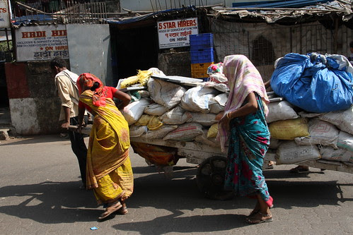 The Mangrove Killers Of Mumbai by firoze shakir photographerno1