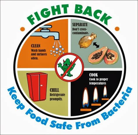 bacteria  foodborne illness  symptoms risk