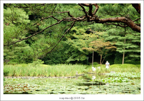 DSC_7754.jpg