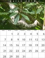 Calendrier mars 2010
