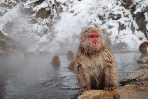 amazing hot spring in the world