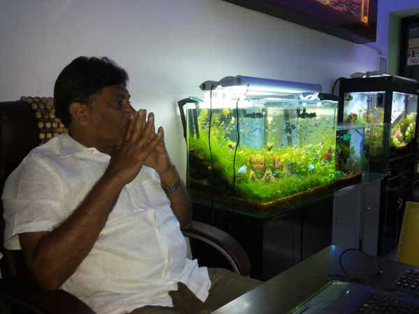 www aquariumdesignindia com