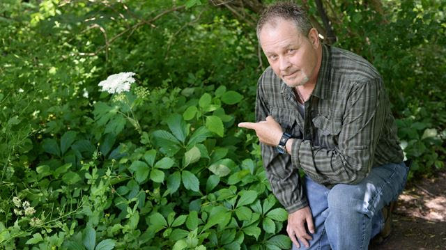 Oakville man wants Petro Canada Park closed to prevent ...