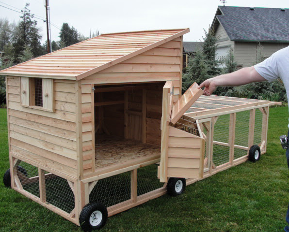 CO Chicken Coops