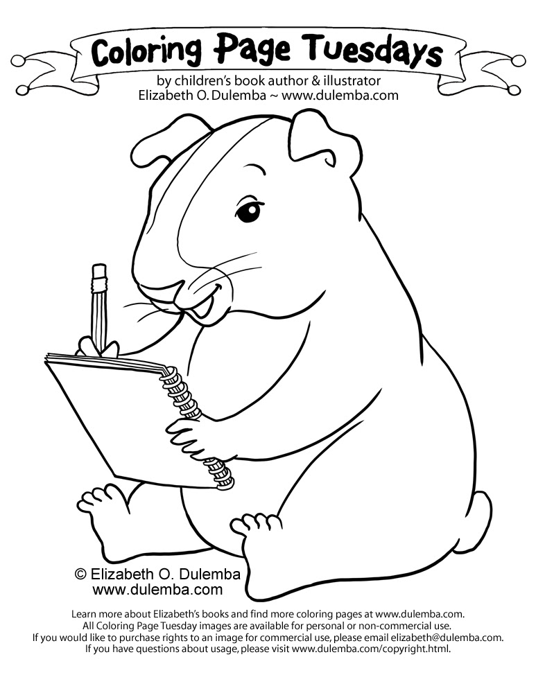 Download Guinea Pig Coloring Pages - Coloring Home