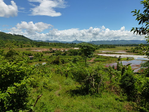 P1150613
