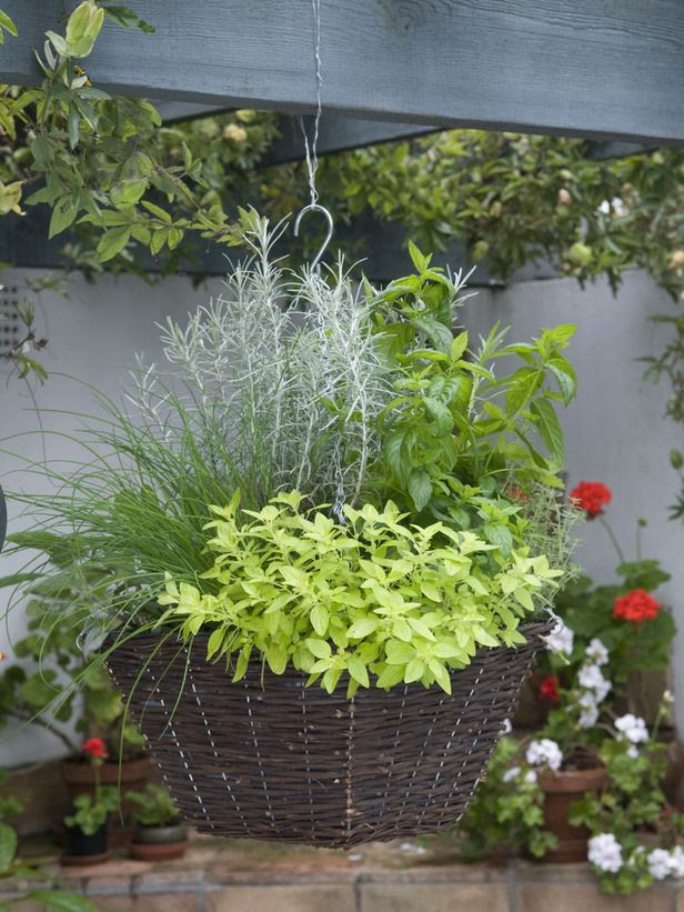 35 Herb Container Gardens ~ Pots & Planters {Saturday Inspiration ...