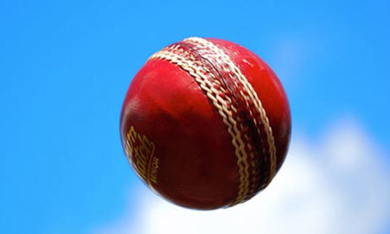55-year-old Hillel Oscar, the former captain of Israel's national cricket team, died on Saturday after being hit in the jaw by a ball. – File