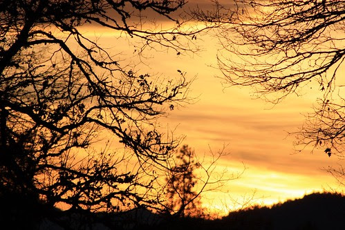 landscape3